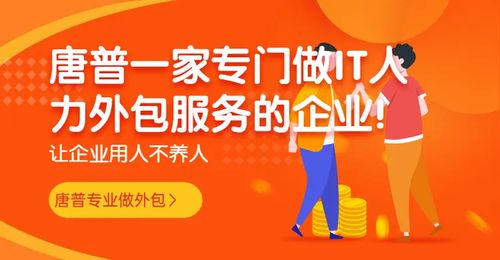 影響軟件開發人員外包價格的關鍵因素